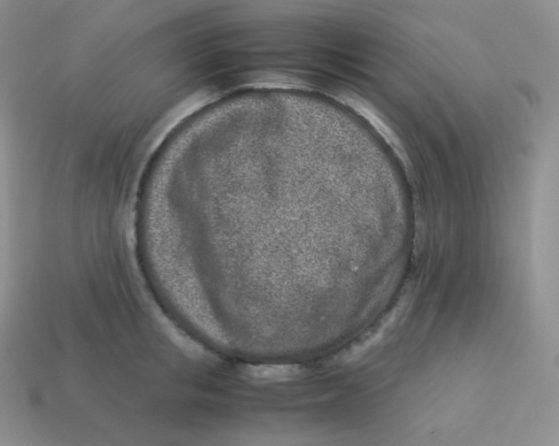 X0000113910853200910151416