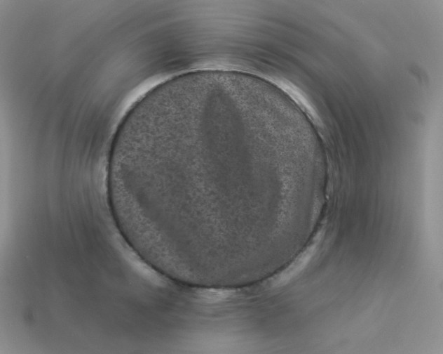 X0000113910854200910151416