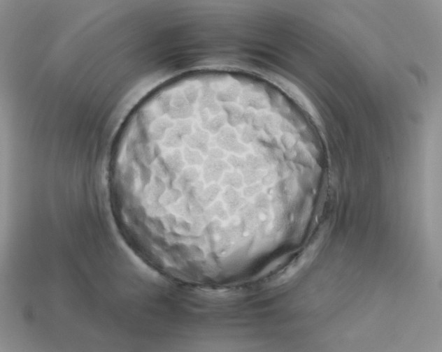 X0000113910855200910151416