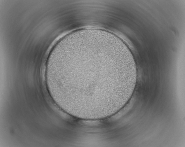 X0000113910856200910151416