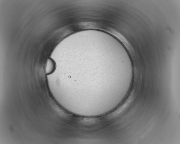 X0000113910857200910151416