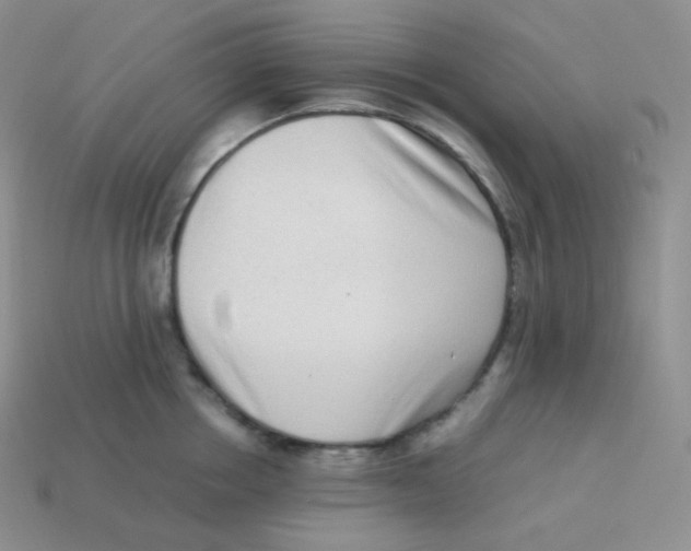 X0000113910858200910151416