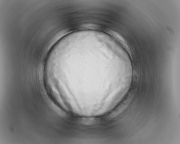 X0000113910859200910151416