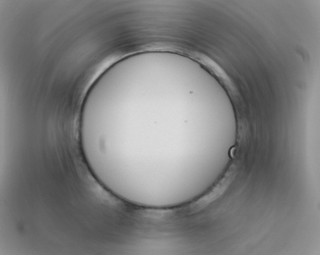 X0000113910860200910151416