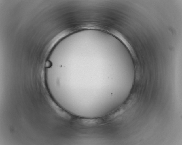 X0000113910861200910151416