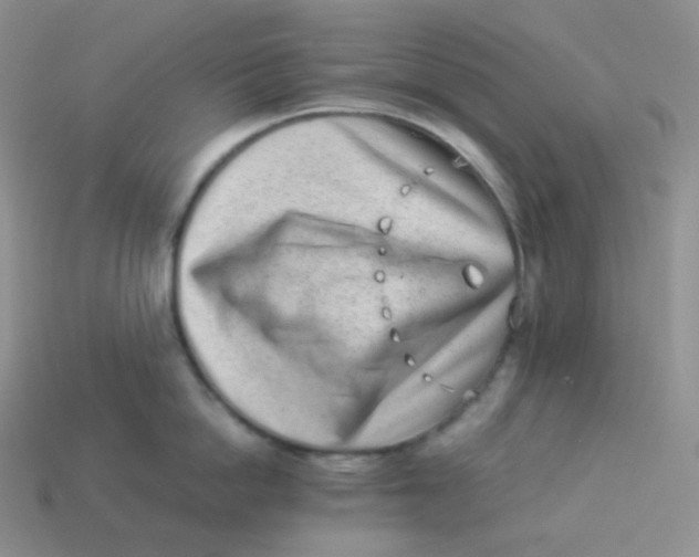 X0000113910862200910151416