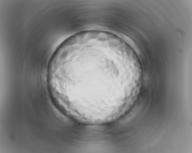 X0000113910863200910151416