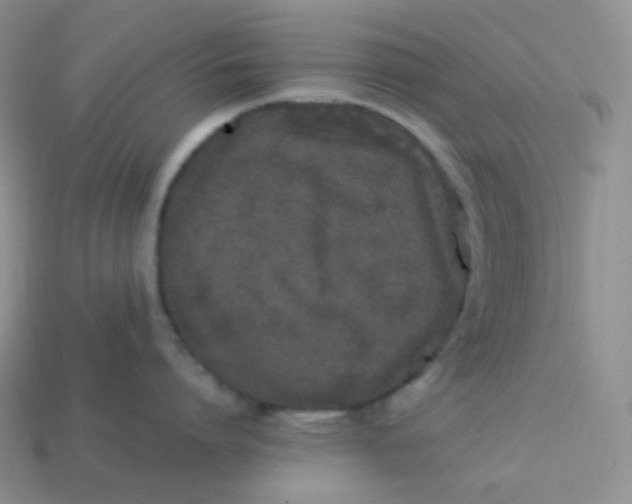 X0000113910864200910151416