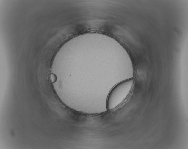 X0000113910865200910151415