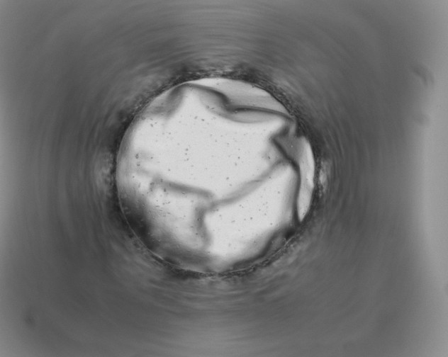 X0000113910867200910151415