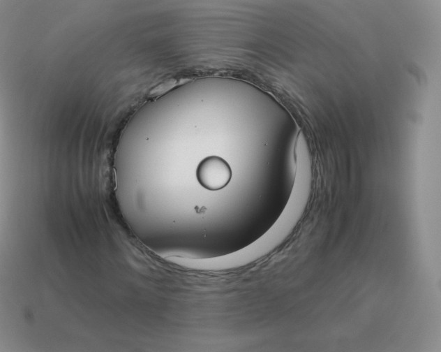 X0000113910868200910151415