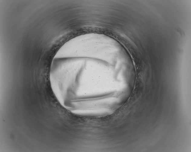 X0000113910870200910151415