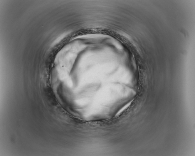 X0000113910871200910151415