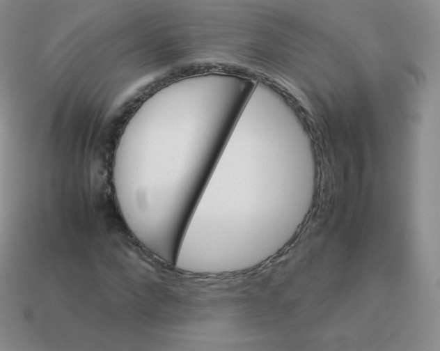 X0000113910872200910151415