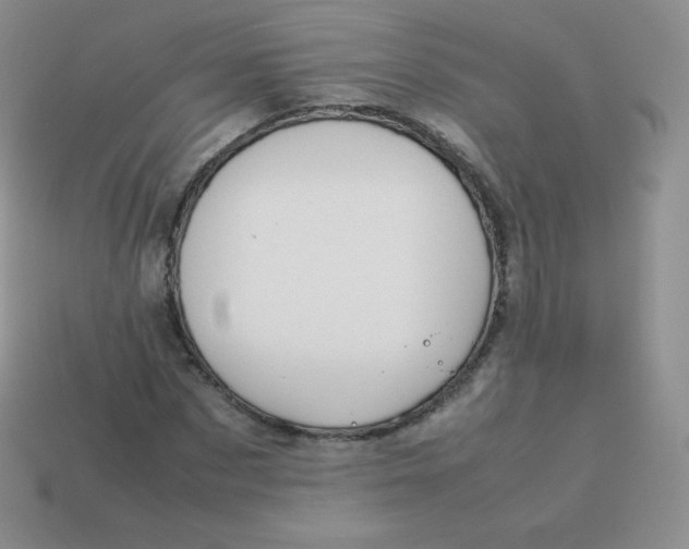 X0000113910873200910151415