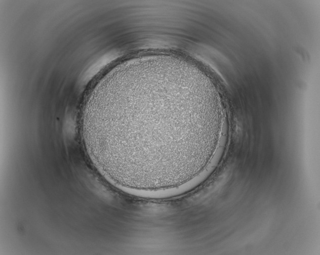 X0000113910874200910151415