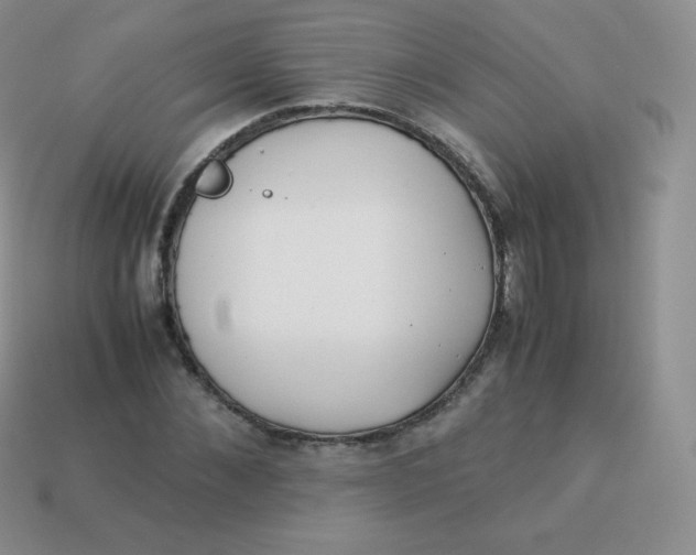 X0000113910876200910151415