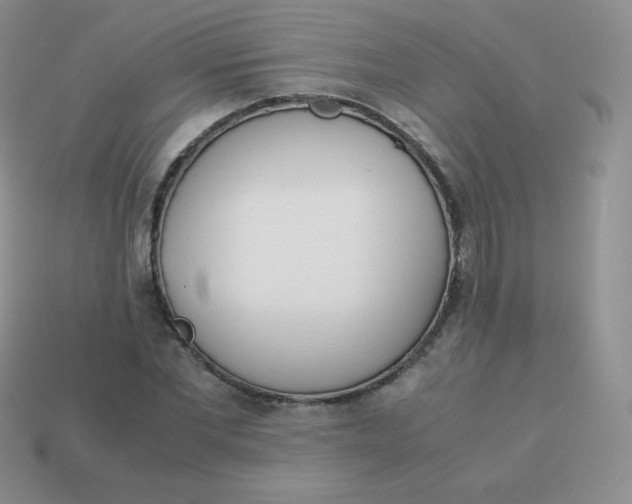 X0000113910877200910151415