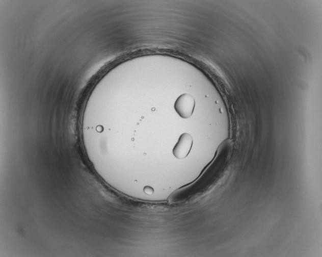 X0000113910878200910151415