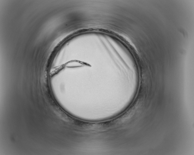 X0000113910879200910151415