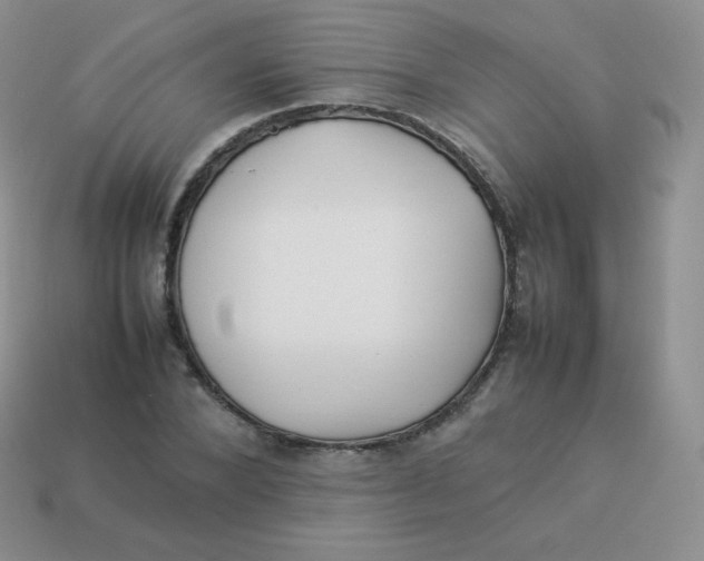 X0000113910880200910151415