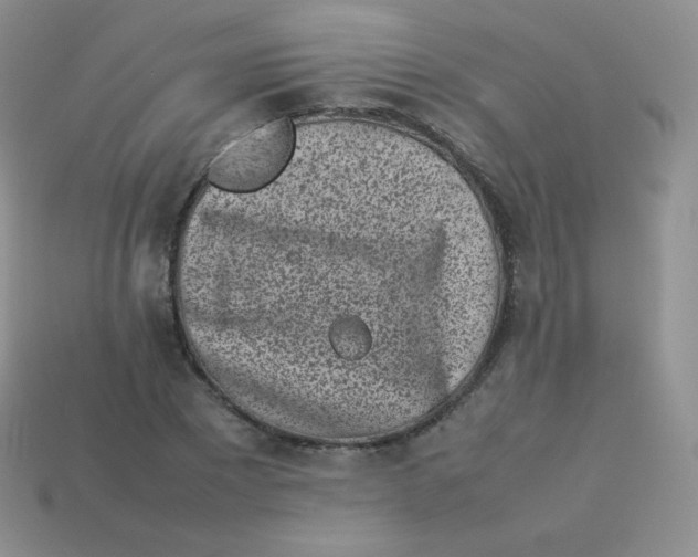 X0000113910881200910151415