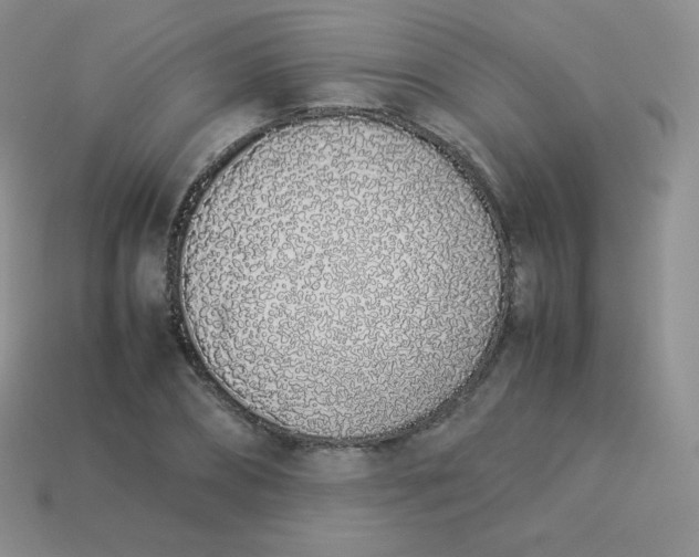 X0000113910882200910151415