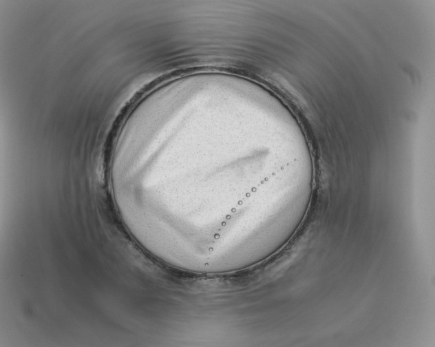 X0000113910883200910151415