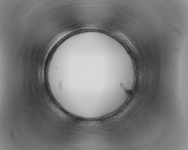 X0000113910884200910151415