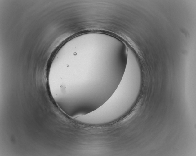 X0000113910885200910151415