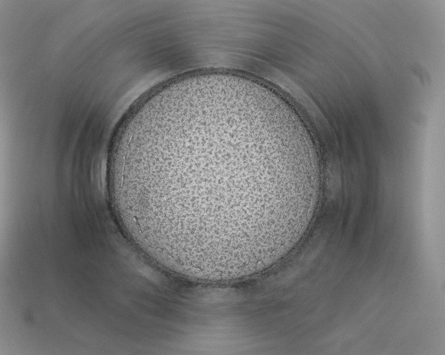 X0000113910886200910151415