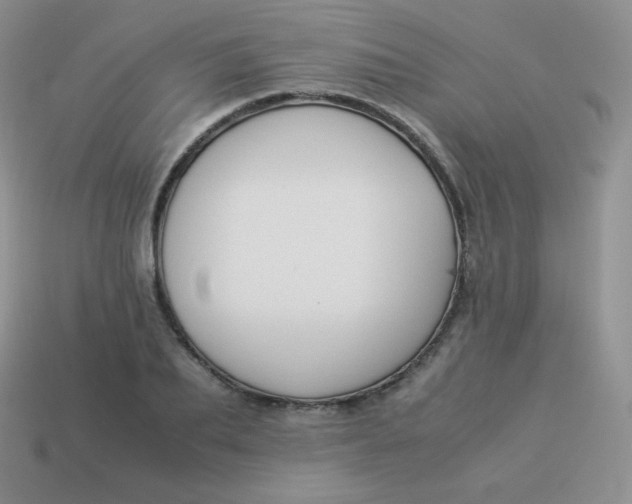 X0000113910887200910151415