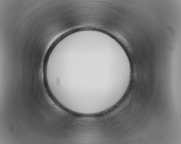 X0000113910888200910151415