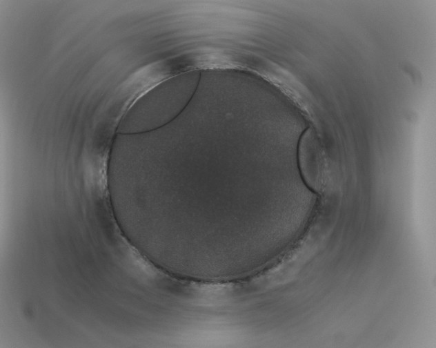 X0000113910889200910151415