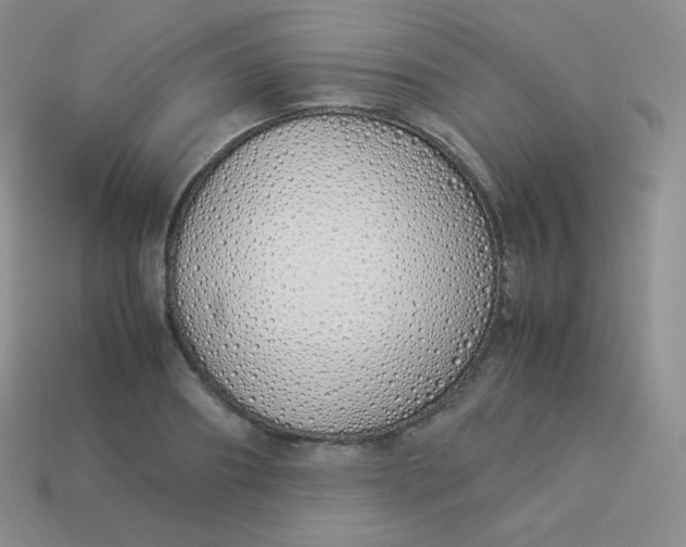 X0000113910890200910151415