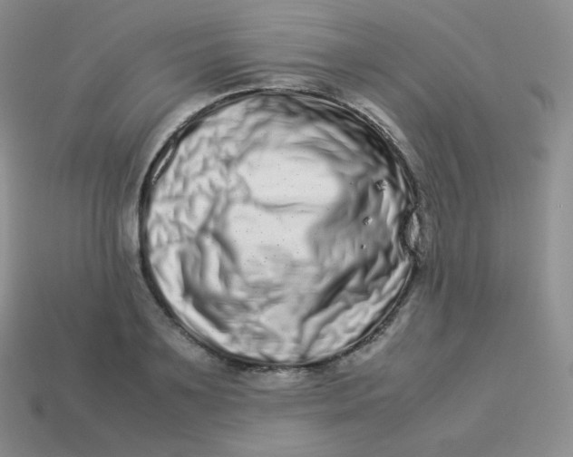 X0000113910891200910151415