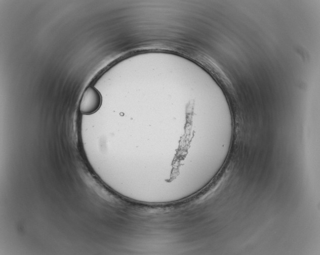 X0000113910892200910151415