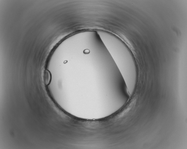 X0000113910893200910151415