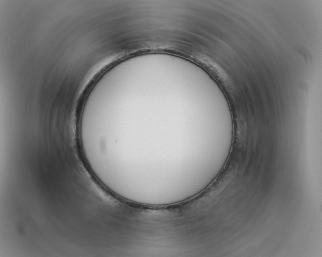 X0000113910894200910151415