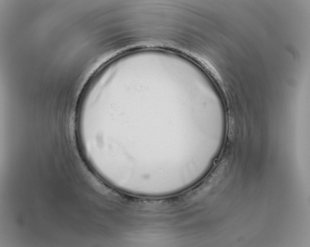 X0000113910895200910151415