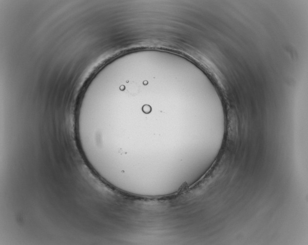 X0000113910896200910151415