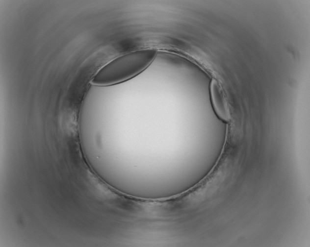 X0000113910897200910151415