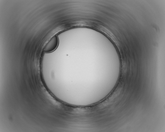 X0000113910898200910151415