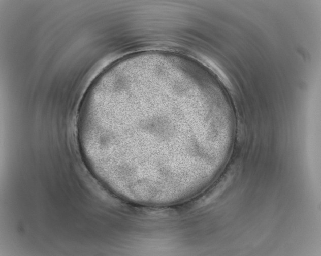 X0000113910899200910151415