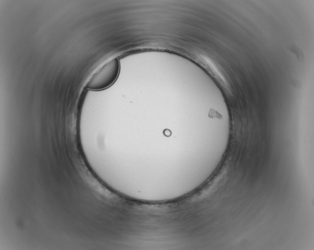 X0000113910900200910151415