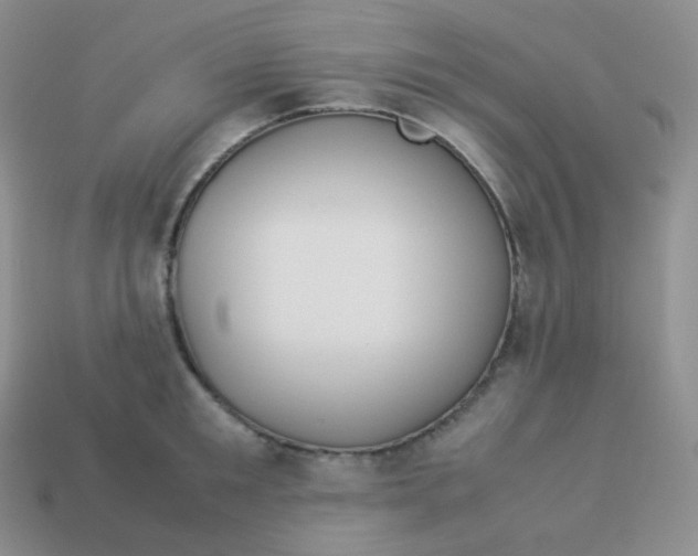 X0000113910901200910151415