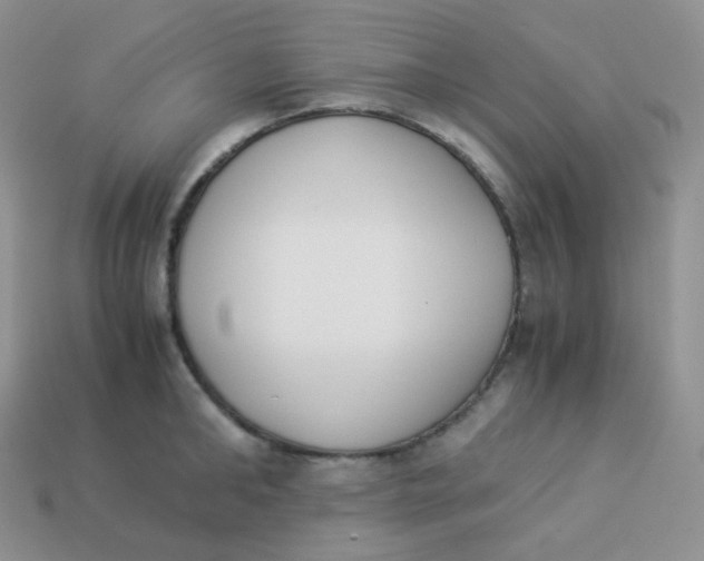 X0000113910902200910151415