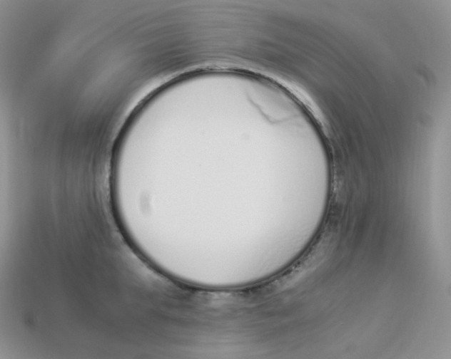 X0000113910903200910151415