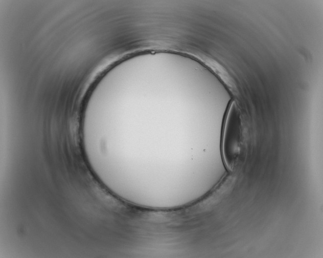 X0000113910904200910151415