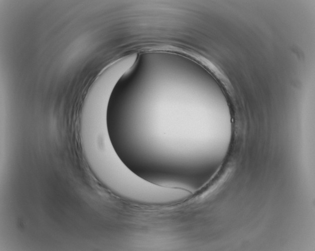 X0000113910905200910151415